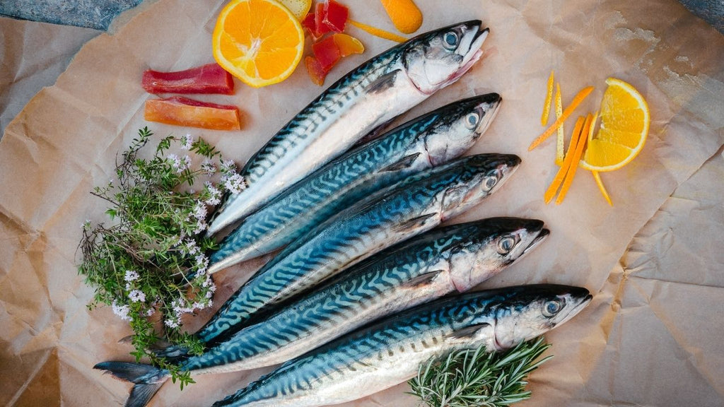 Learn everything about Canned Mackerel