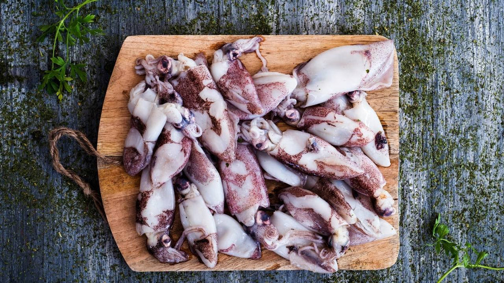 Chipirones: Learn the basics and their properties