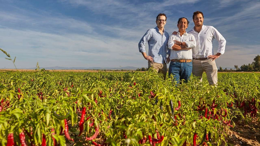 Alles über den Pimentón de la Vera, antworten die Experten