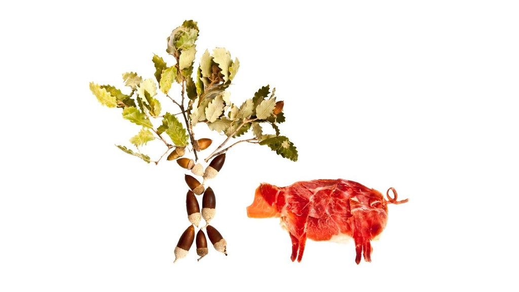 Welcher Jamón ist der gesündeste, beste und teuerste?