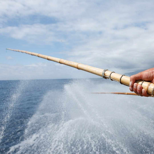 Atún de las Azores en aceite de oliva BIO 120g